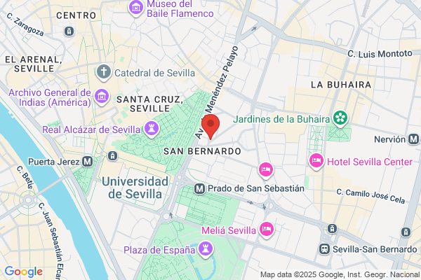Ruiz-tagle Fernandez, Andres