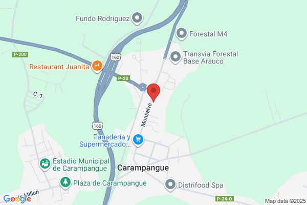 Forestal Rumapel Ltda.