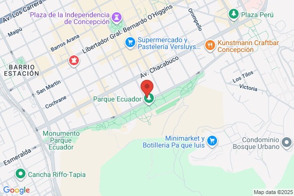 Biblioteca Municipal Concepción