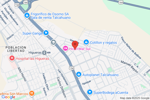 Forestal Santa Ester Ltda.