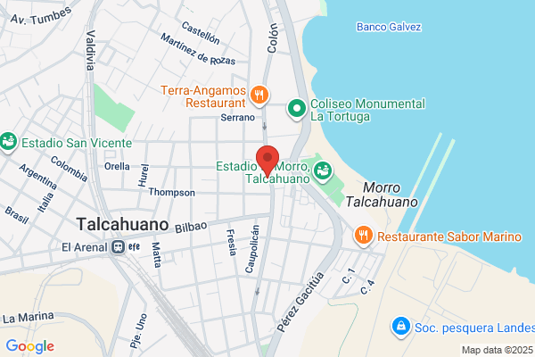 Mascotas Talcahuano