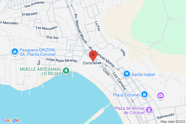 Pesquera Camanchaca S.a.