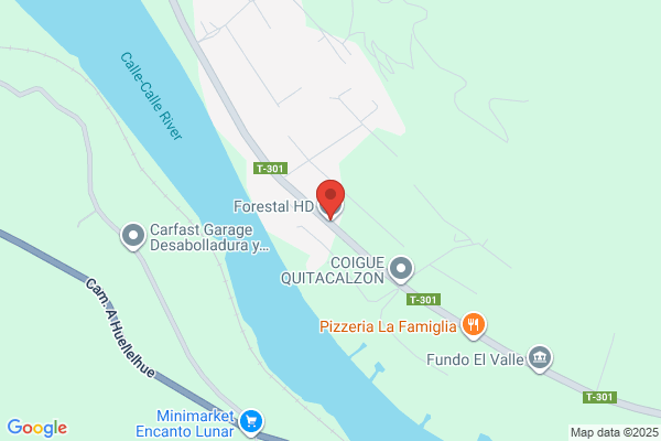 Forestal Finster