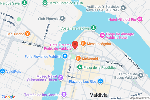 Hotel Pedro De Valdivia