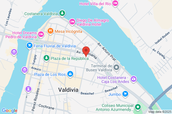 Servicio De Salud Valdivia