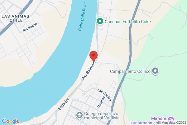 Sociedad Industrial Kunstmann S.a.