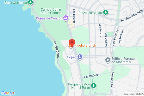Psicologo Viña del Mar - Felipe Gomez Roje