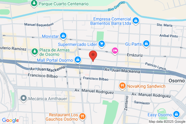 Repuestos Sur Ltda.