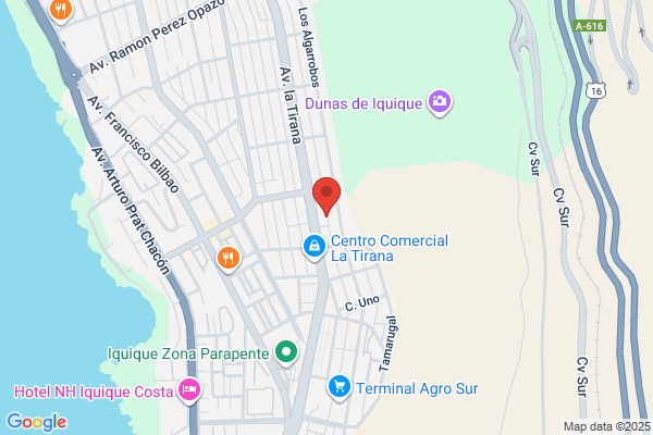 Ramírez Arriagada, Rosa