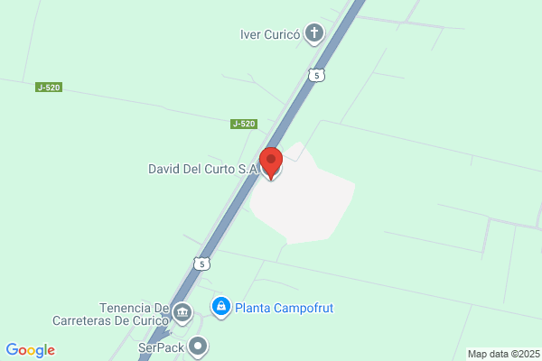 Del Curto S.a., David